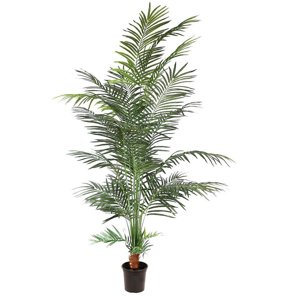 PALMERA ARECA ARTIFICIAL 183 CM PALMERA ARECA ARTIFICIAL 183 CM