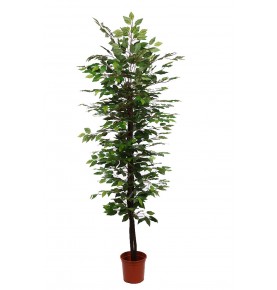 ÄRBOL DE FICUS ARTIFICIAL 175 CM