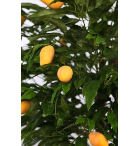 ÁRBOL DE MANGO FRUTA ARTIFICIAL 190 CM
