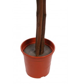 ÁRBOL DE FICUS VERDE ARTIFICIAL 175 CM