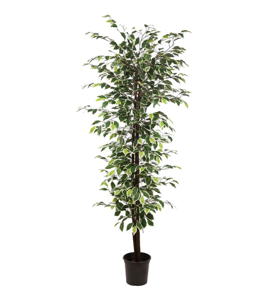 ÄRBOL DE FICUS BICOLOR ARTIFICIAL 175 CM ÄRBOL DE FICUS BICOLOR ARTIFICIAL 175 CM