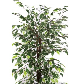 ÄRBOL DE FICUS BICOLOR ARTIFICIAL 175 CM