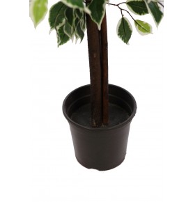 ÄRBOL DE FICUS BICOLOR ARTIFICIAL 175 CM
