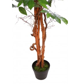 ÁRBOL DE FICUS ARTIFICIAL 180 CM