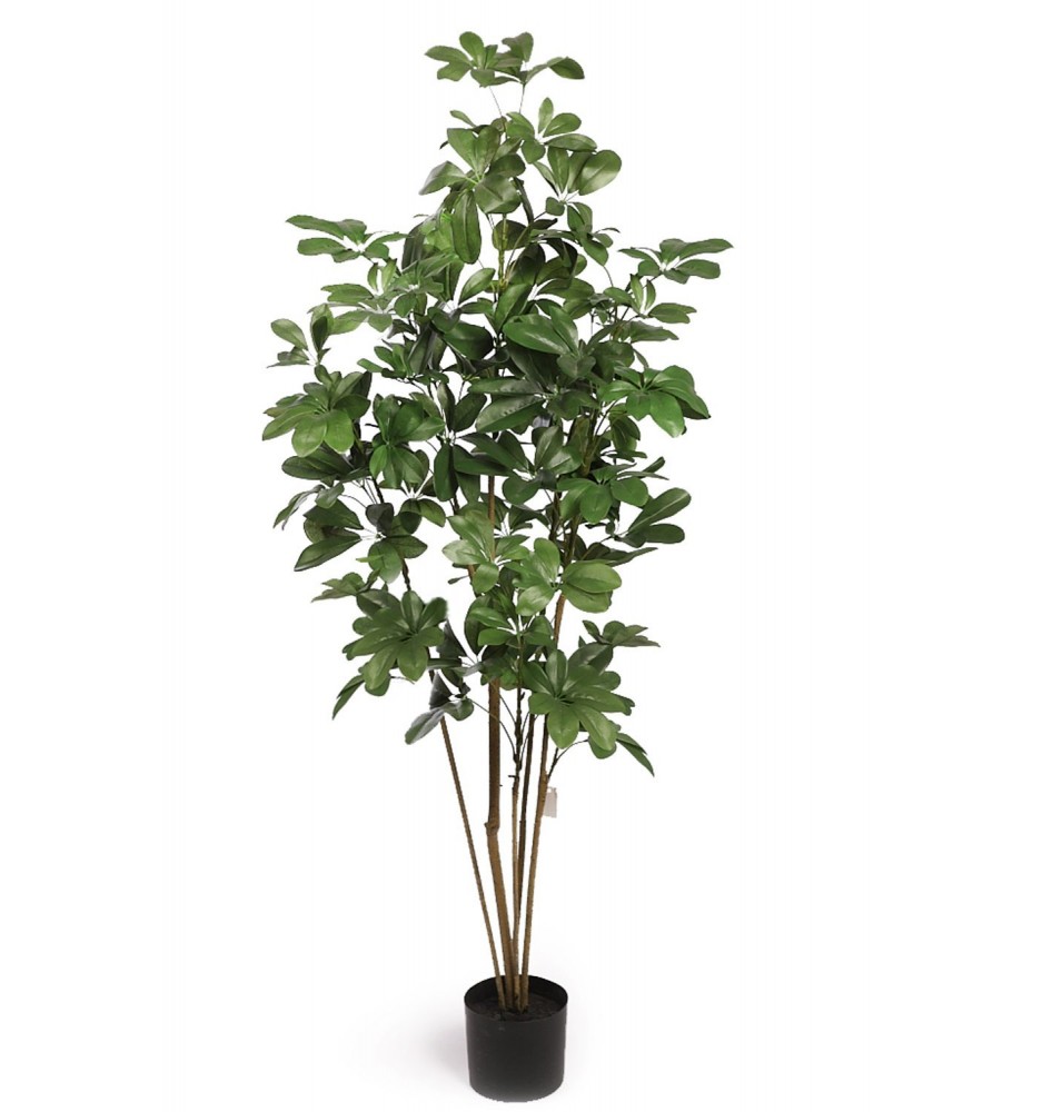 CHEFLERA VERDE ARTIFICIAL 165 CM (X5) CHEFLERA VERDE ARTIFICIAL 165 CM (X5)