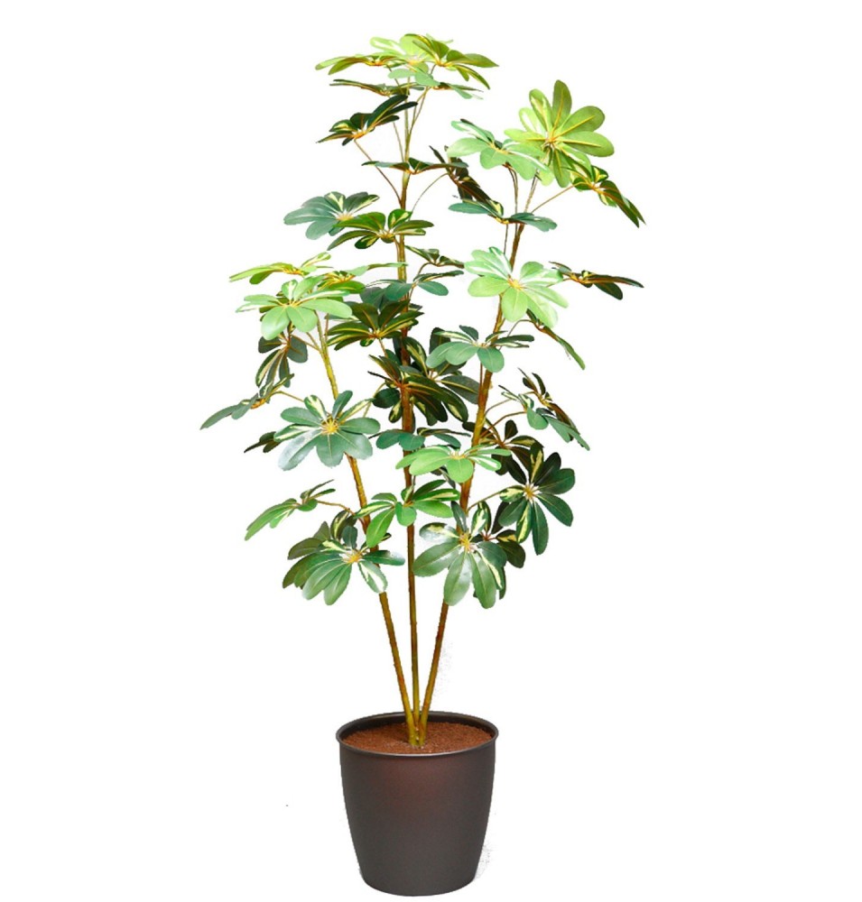PLANTA CHEFLERA ARTIFICIAL 152 CM (X3 / 407 LVS) PLANTA CHEFLERA ARTIFICIAL 152 CM (X3 / 407 LVS)