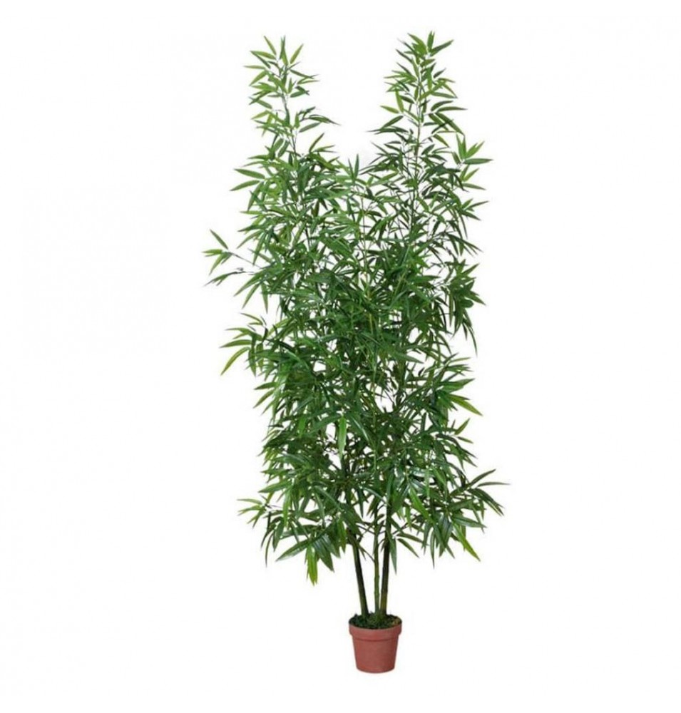 BAMBÚ 200 CM