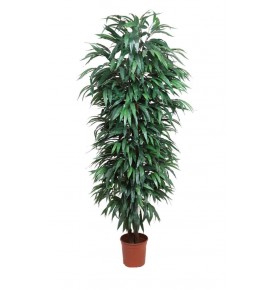 ÁRBOL MANGO ARTIFICIAL VERDE 200 CM (X 48)
