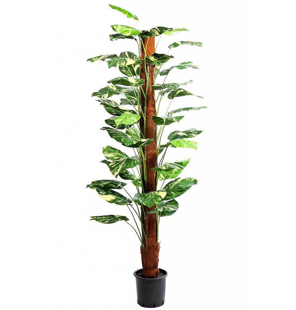 PLANTA POTO TUTOR ARTIFICIAL 175CM PLANTA POTO TUTOR ARTIFICIAL 175CM