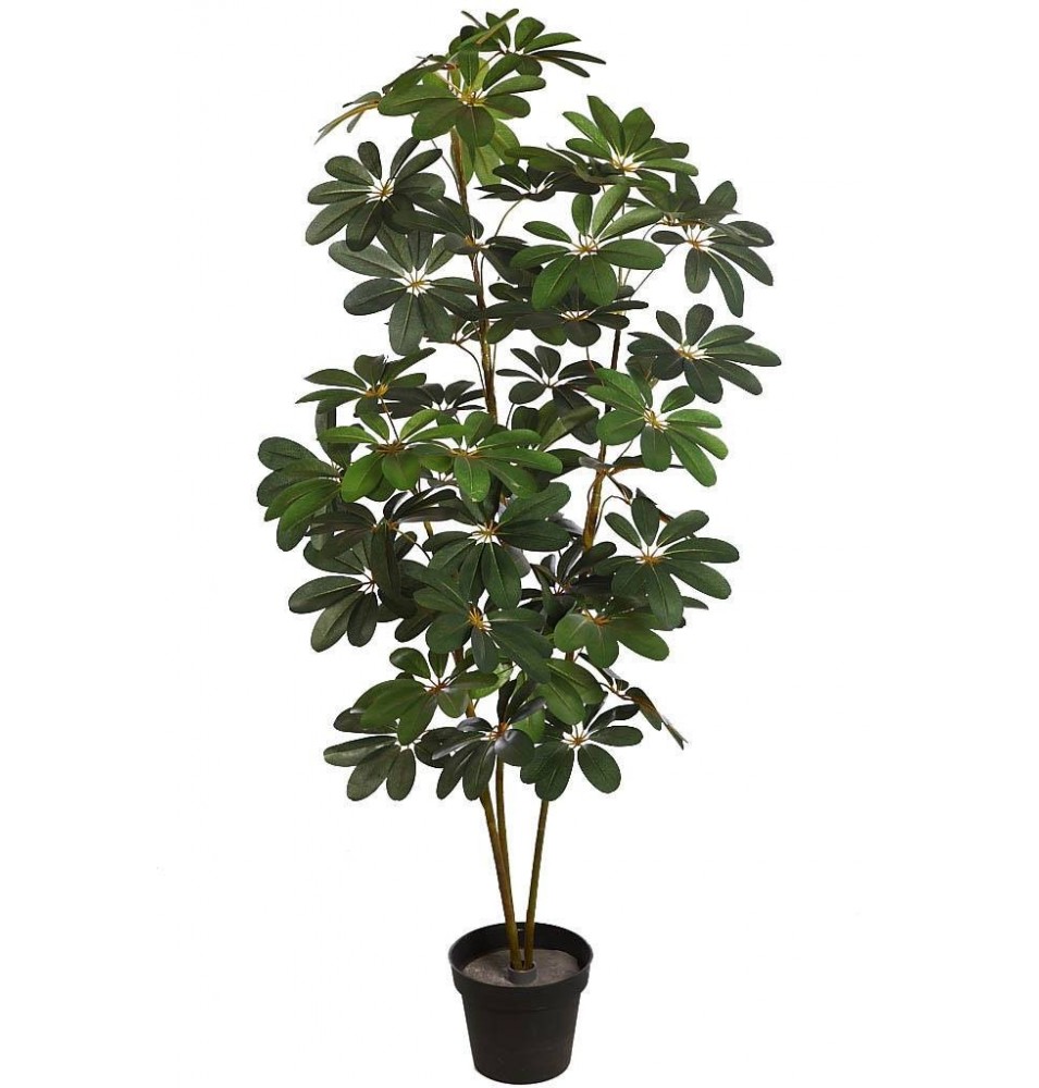 PLANTA CHEFLERA ARTIFICIAL 152CM (X3) PLANTA CHEFLERA ARTIFICIAL 152CM (X3)