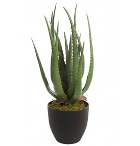 CACTUS ALOE ARTIFICIAL 55 CM