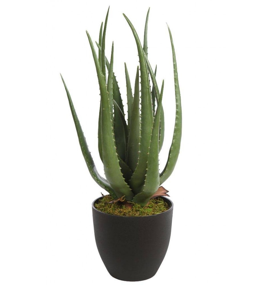 CACTUS ALOE ARTIFICIAL 55 CM