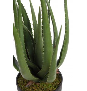 CACTUS ALOE ARTIFICIAL 55 CM
