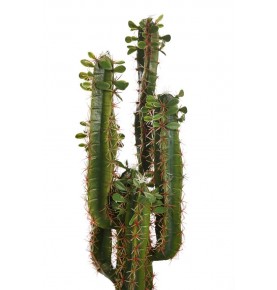 CACTUS CEREUS ARTIFICIAL 80 CM