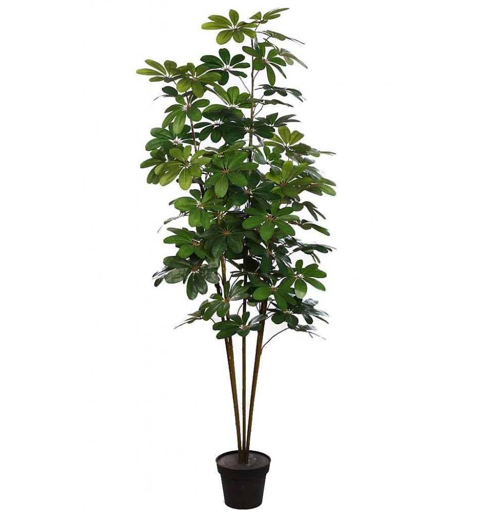 PLANTA CHEFLERA ARTIFICIAL 180CM (X5) PLANTA CHEFLERA ARTIFICIAL 180CM (X5)