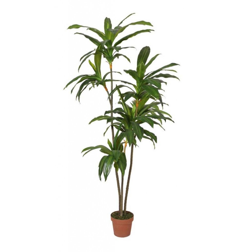 DRACENA ARTIFICIAL 175 CM