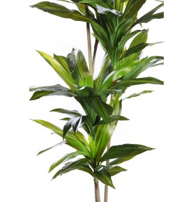 DRACENA ARTIFICIAL 175 CM