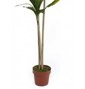 DRACENA ARTIFICIAL 175 CM