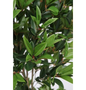 ÁRBOL DE LAUREL ARTIFICIAL DOBLE BOLA 165 CM