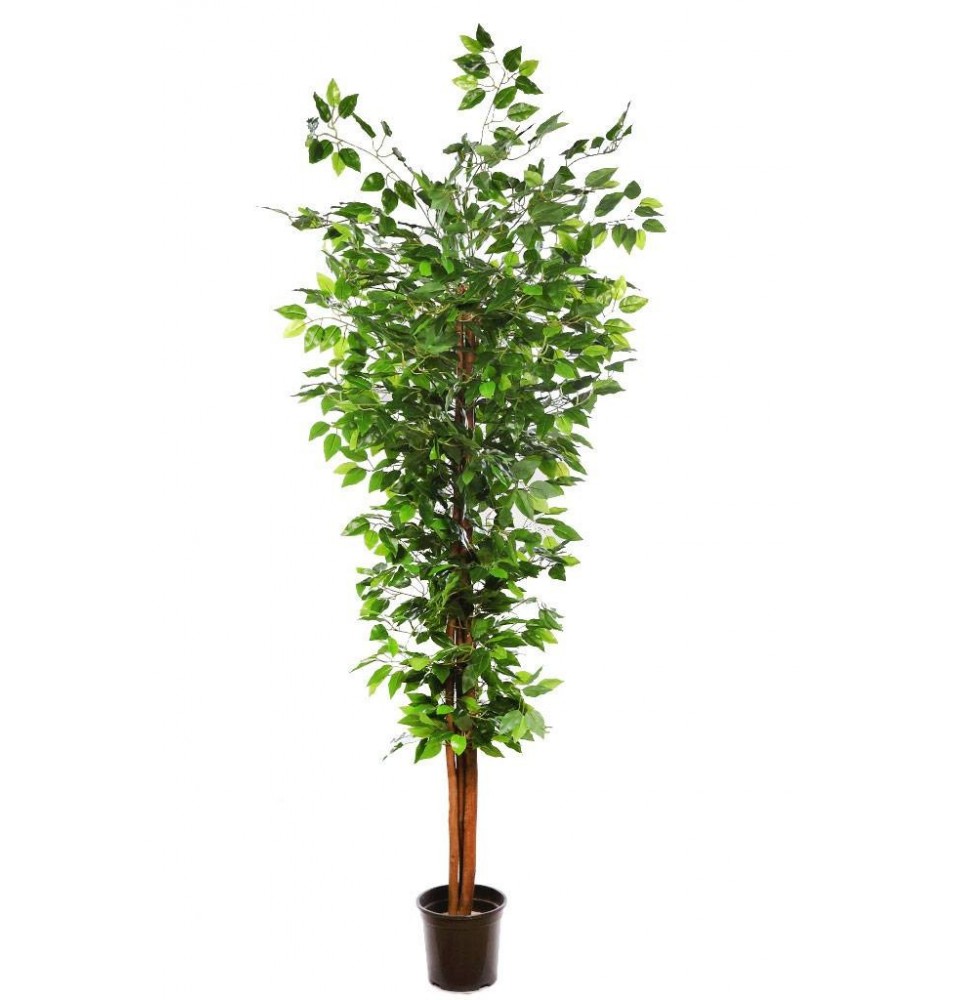 Comprar Árbol de Ficus Artificial