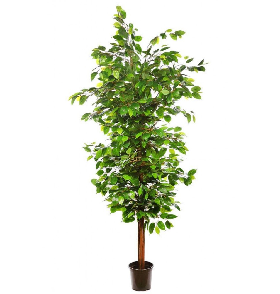 ÁRBOL DE FICUS RELIGIOSA ARTIFICIAL 185 CM