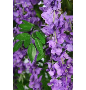 ÁRBOL WISTERIA LILA ARTIFICIAL 180 CM