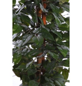ÁRBOL DE CAMELIA ARTIFICIAL 180 CM