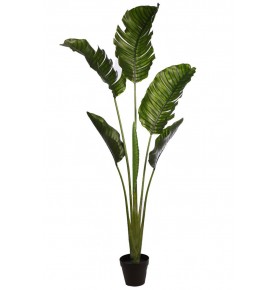PALMERA RAVENALA ARTIFICIAL 190 CM