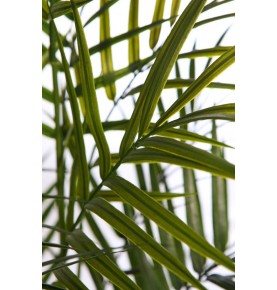 PALMERA ARECA ARTIFICIAL 100 CM