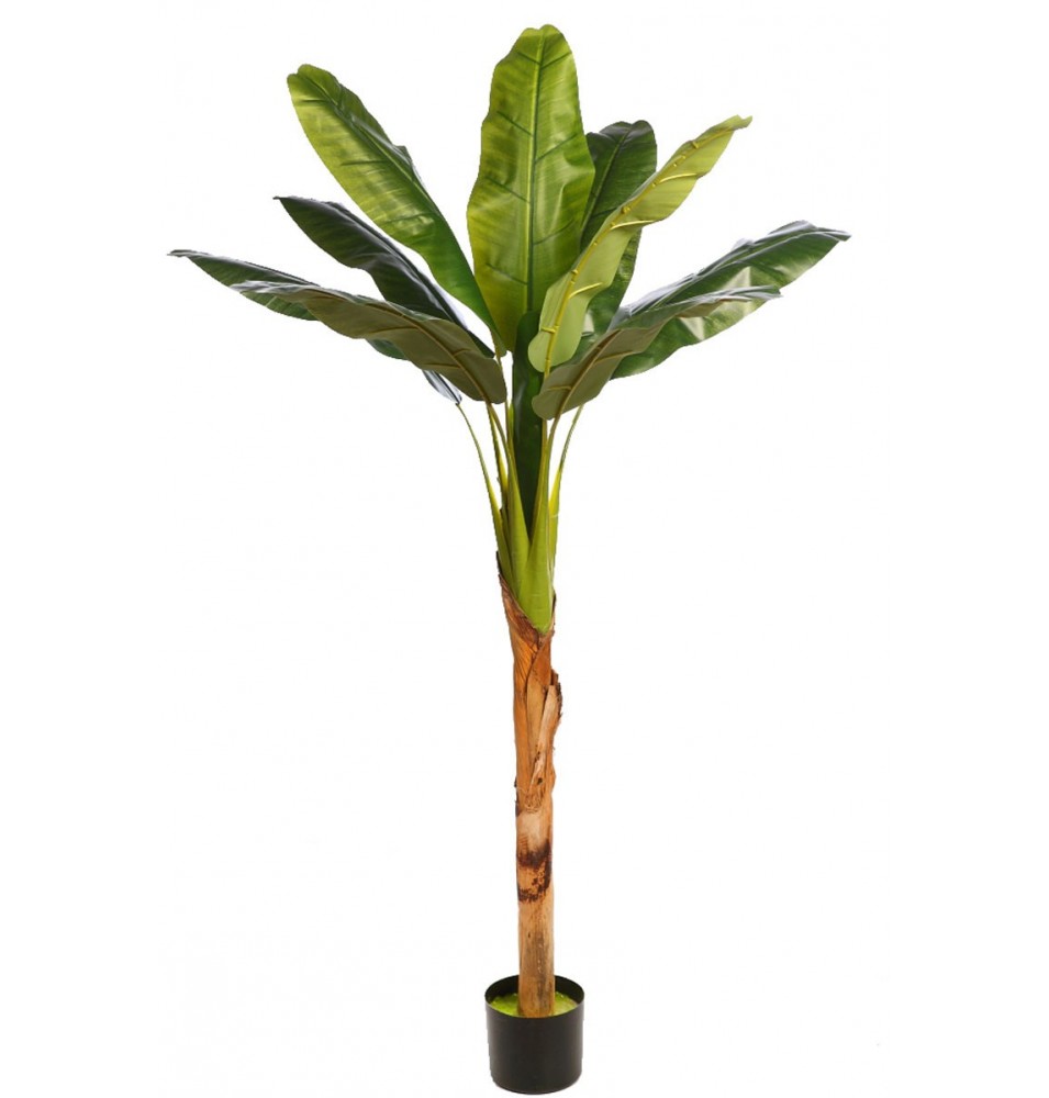 PLATANERA TROPIC ARTIFICIAL 150 CM PLATANERA TROPIC ARTIFICIAL 150 CM